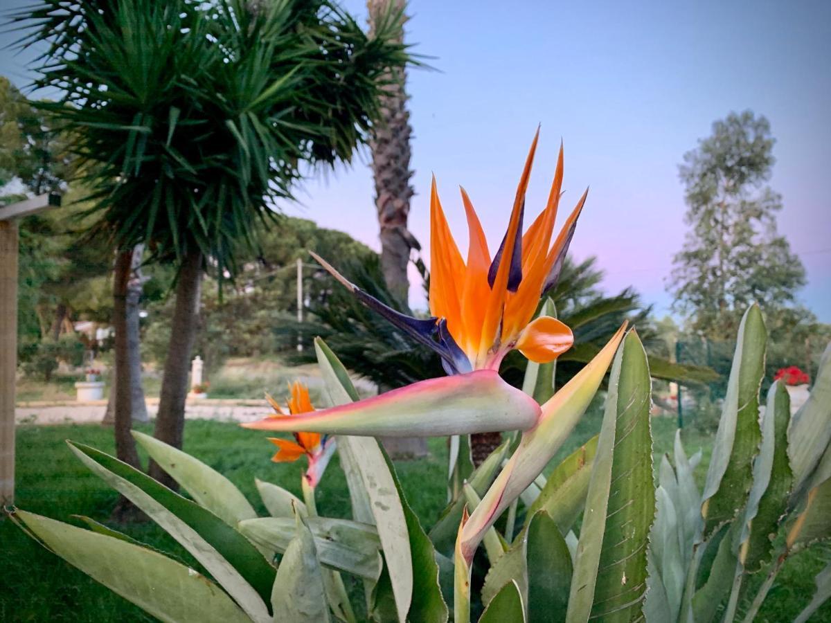 Borgo Casinello Villa Marina Di Pisticci Dış mekan fotoğraf